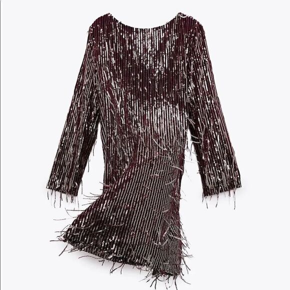 ZARA FRINGED SEQUIN DRESS - Picture 14 of 14